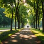 Ce que vous ignorez sur les bienfaits cachés de la marche