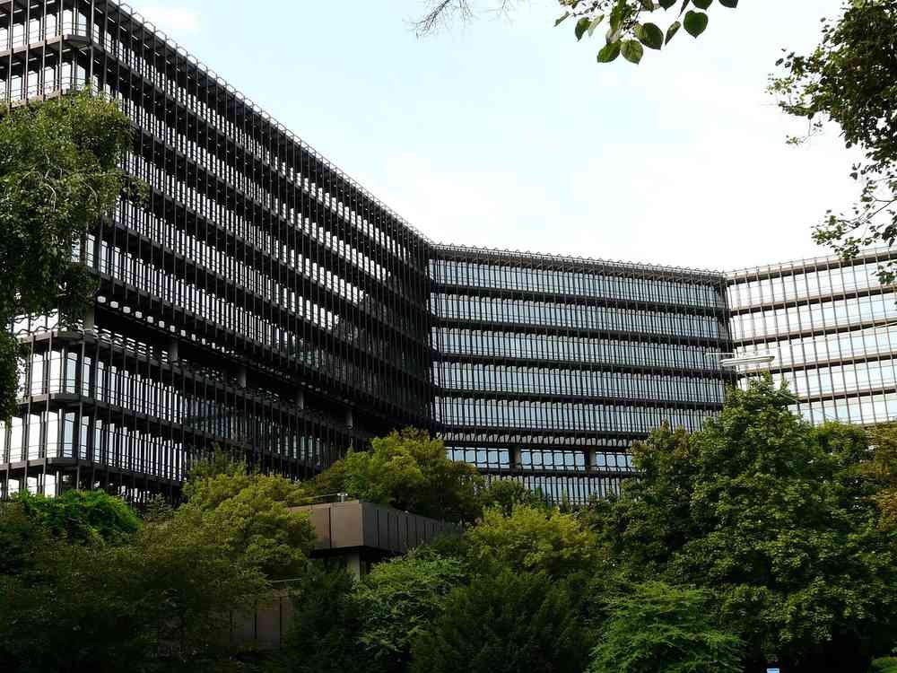 Plantes d'intérieur contribuant à l'absorption acoustique dans un bureau ouvert